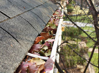 gutter full of leaves